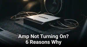 amp not turning on
